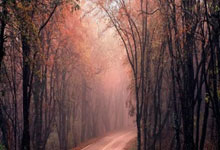 开云官网-2026杭州城市足球联赛开赛