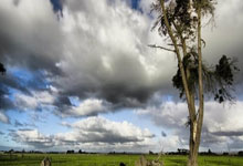 开云-3月8日足球比赛001——010足球比赛分析