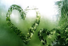 开云地址-巴萨球星圣诞惊喜，Ronin FC球员收获梦想礼物