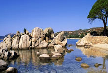 开云地址-巴萨球星圣诞惊喜，Ronin FC球员收获梦想礼物